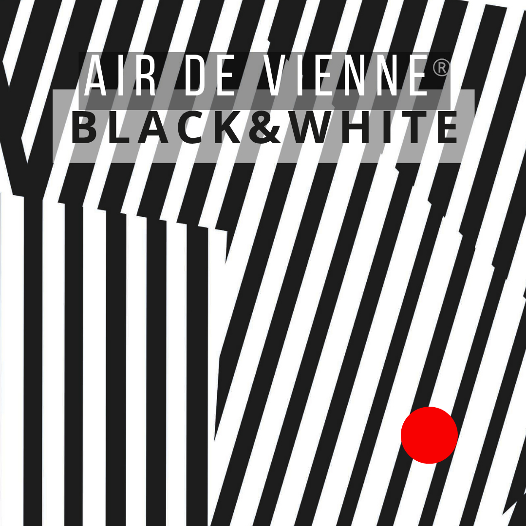 op-art, optische täuschungen, BLACK&WHITE, hand fan, giveaway, wiener fächer, airdevienne, petra stelzmüller, wienerbrise, wienerluft, heisseluft, breeze, design, austria, vienna, austriatoday, austrialove, bestofaustria, designeveryday, form, individual, designagency, designstudio, designlovers