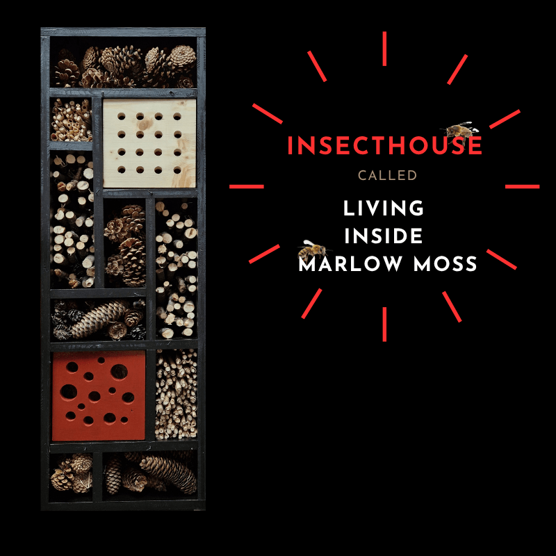 insect hotel black LIVING INSIDE MARLOW MOSS big 9 Insektenhaus modern österreich design petra stelzmüller holz draht mondrian marlow moss
