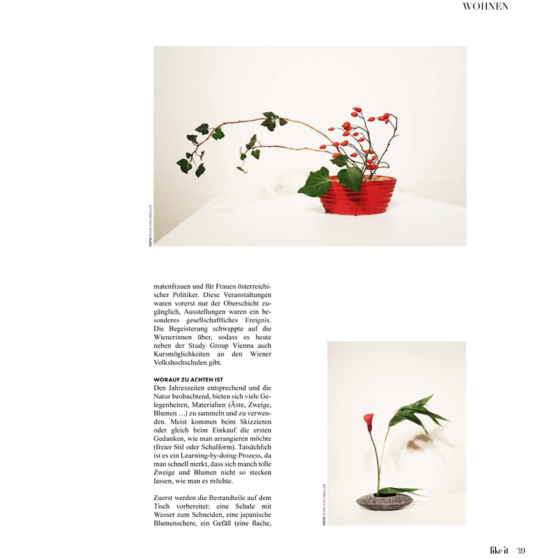 like-it magazin petra stelzmueller ikebana wien blumen artikel blog stories