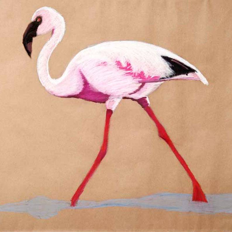 Malerin Wien Österreich Flamingo