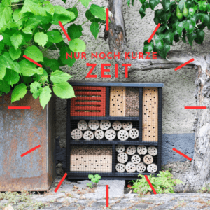 Insektenhaus modern österreich design petra stelzmüller holz draht mondrian marlow moss