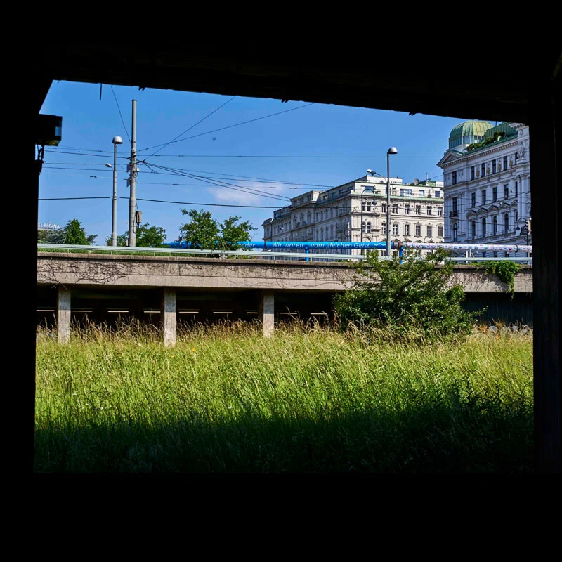 Petra Stelzmüller Undine kommt Kunstprojekt